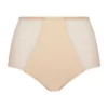 Culotte Gainante Antigel New Apesanteur (Skin Rosé)