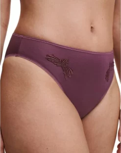 Slip Chantelle Hedona (Tannin) 6 Slip Chantelle Hedona (Tannin) -Sous-vetement Soldes Boutique slip chantelle hedona tannin 1