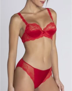 Produits populaires -Sous-vetement Soldes Boutique slip fantaisie lise charmel splendeur soie splendeur rouge 1