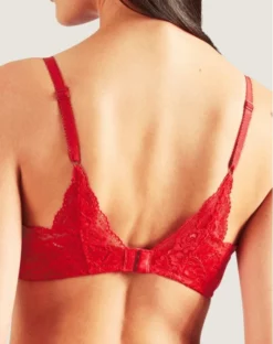 Soutien-gorge Triangle Plunge Aubade Rosessence (Gala) -Sous-vetement Soldes Boutique soutien gorge triangle plunge aubade rosessence gala 2