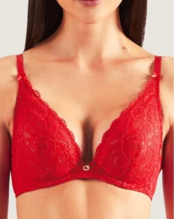 Soutien-gorge Triangle Plunge Aubade Rosessence (Gala)